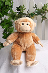 Cheeky Monkey